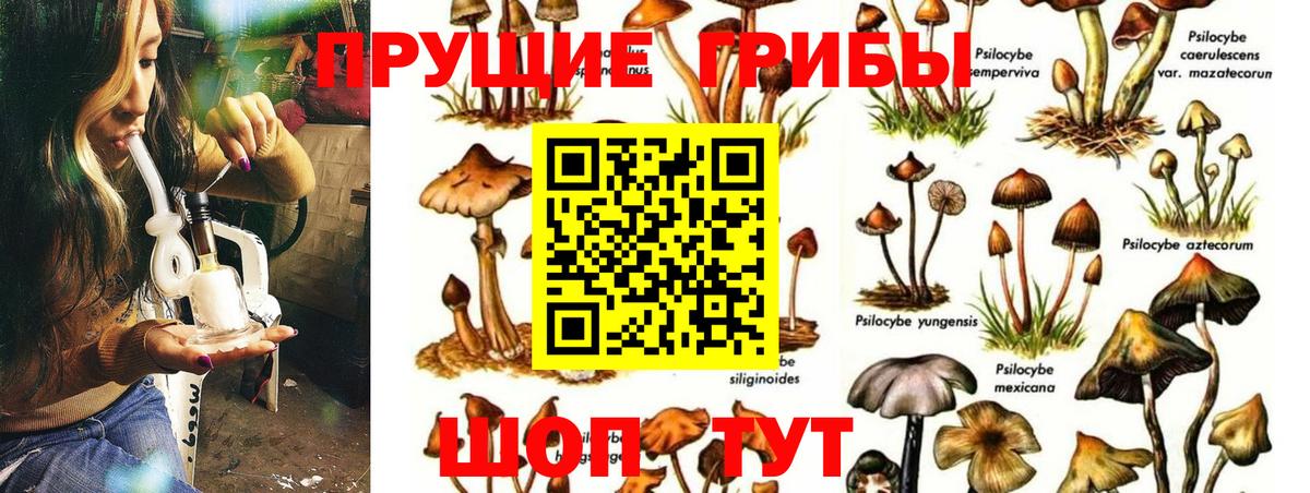 Галлюциногенные грибы Cubensis  Псилоцибиновые грибы Magic Shrooms  Елизово  Вход с VPN 