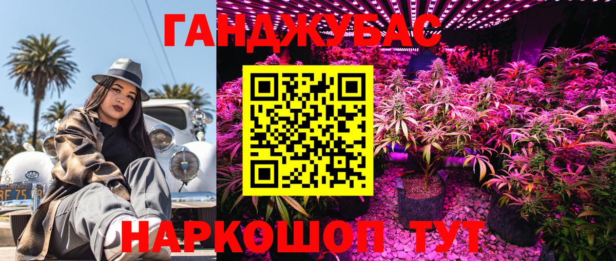 Елизово  Марихуана сатива  Конопля планчик  Вход с VPN 